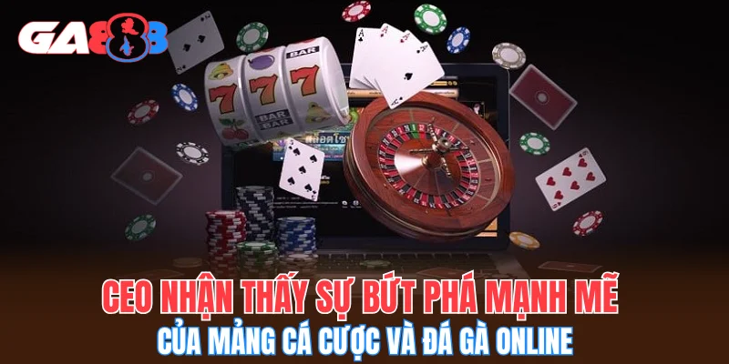 CEO nhận thấy sự bứt phá mạnh mẽ của mảng cá cược và đá gà online
