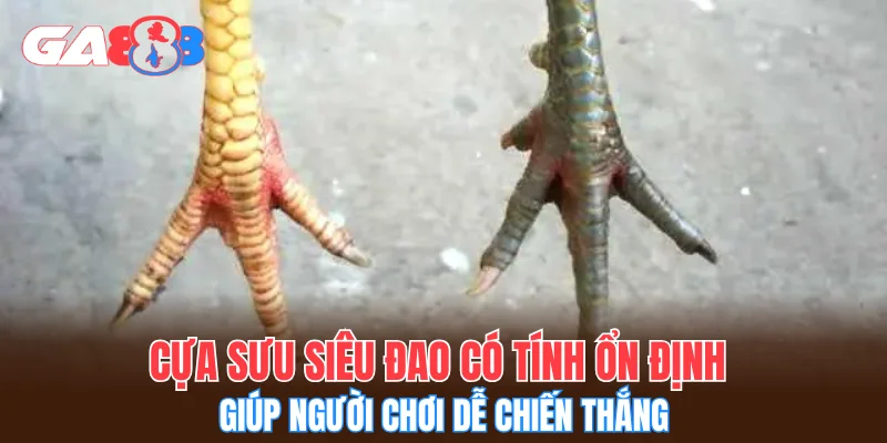 Cựa sưu siêu đao có tính ổn định giúp người chơi dễ chiến thắng