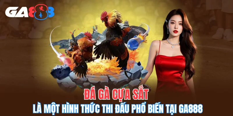 Đá gà cựa sắt là một hình thức thi đấu phổ biến tại GA888