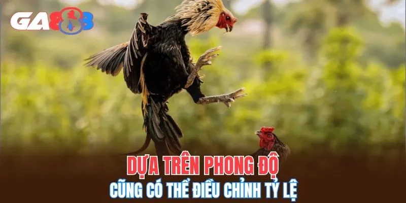 Dựa trên phong độ cũng có thể điều chỉnh tỷ lệ