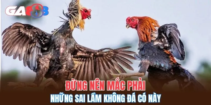 Đừng nên mắc phải những sai lầm không đá có này