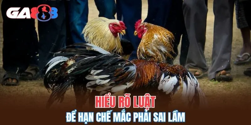 Hiểu rõ luật để hạn chế mắc phải sai lầm