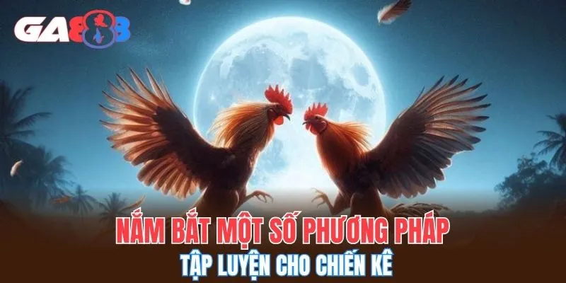 Nắm bắt một số phương pháp tập luyện cho chiến kê