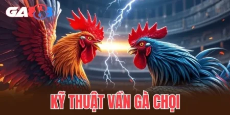 kỹ thuật vần gà chọi