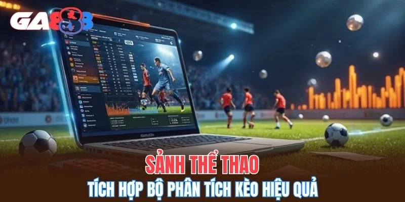 Sảnh thể thao tích hợp bộ phân tích kèo hiệu quả