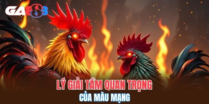Lý giải tầm quan trọng của màu mạng 