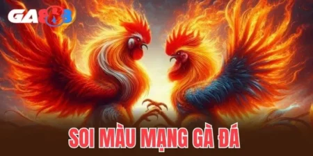 soi màu mạng gà đá
